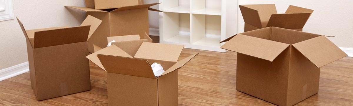 removals to France
